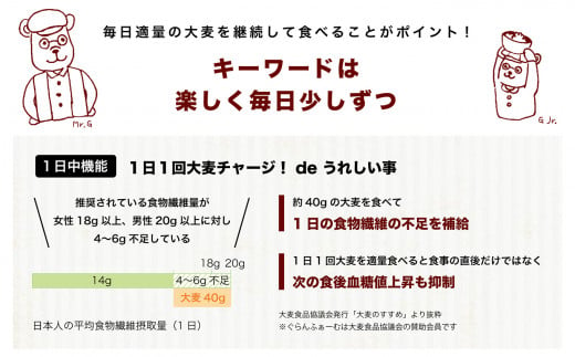 厳選大麦グラノーラ Lパケットセット