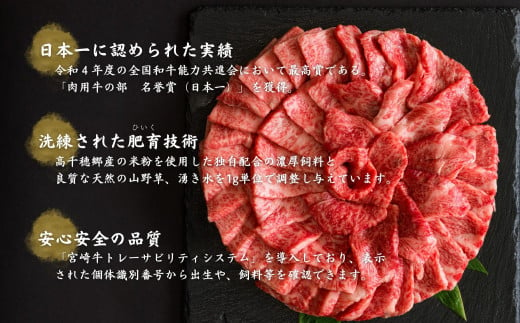 A-3 高千穂牛焼肉用 A