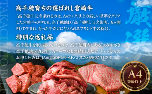 A-3 高千穂牛焼肉用 A