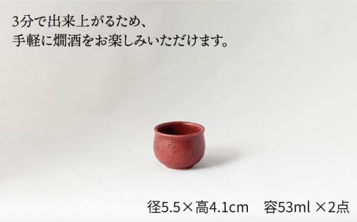 【美濃焼】＜お好みの温度でお酒を楽しむ＞酒燗器 盃2個セット エンジ【山淳製陶所】【TOKI MINOYAKI返礼品】 食器 徳利 お猪口 冷酒 熱燗 [MAP005]