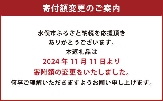 温州みかん 約10kg 2S～2L