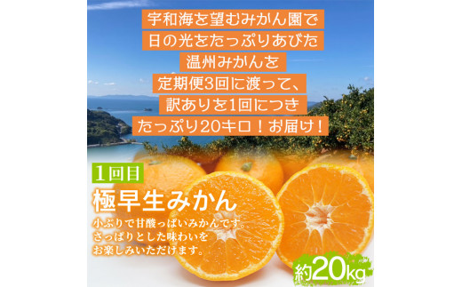 でん助農園の温州みかんリレー　訳あり　３回定期便（極早生・早生・中生）