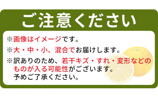 でん助農園の温州みかんリレー　訳あり　３回定期便（極早生・早生・中生）