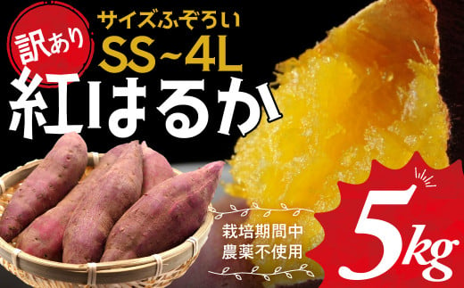 ≪訳あり≫ 栽培期間中農薬不使用 サツマイモ 5kg 紅はるか 無農薬 さつまいも サツマイモ ワケアリ ワケアリ わけありさつまいも詰め合わせ 芋 いも 三重県 多気町 GE‐01　