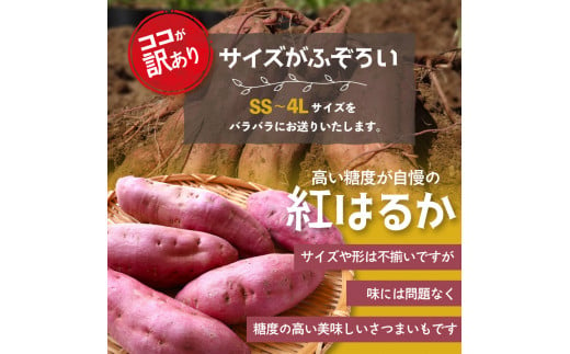 ≪訳あり≫ 栽培期間中農薬不使用 サツマイモ 5kg 紅はるか 無農薬 さつまいも サツマイモ ワケアリ ワケアリ わけありさつまいも詰め合わせ 芋 いも 三重県 多気町 GE‐01　