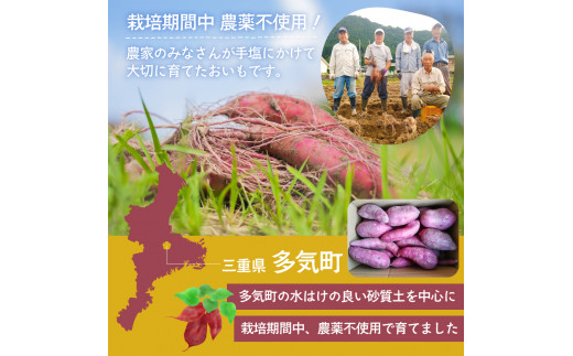 ≪訳あり≫ 栽培期間中農薬不使用 サツマイモ 5kg 紅はるか 無農薬 さつまいも サツマイモ ワケアリ ワケアリ わけありさつまいも詰め合わせ 芋 いも 三重県 多気町 GE‐01　