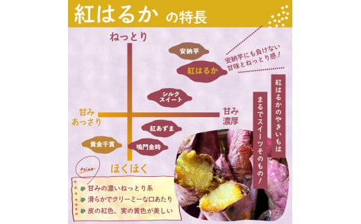 ≪訳あり≫ 栽培期間中農薬不使用 サツマイモ 5kg 紅はるか 無農薬 さつまいも サツマイモ ワケアリ ワケアリ わけありさつまいも詰め合わせ 芋 いも 三重県 多気町 GE‐01　