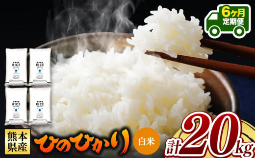 令和6年産   【定期便6回】 熊本県産 ひのひかり 白米 20kg | 小分け 5kg × 4袋  熊本県産 特A獲得品種 米 白米 ごはん 銘柄米 ブランド米 単一米 人気 日本遺産 菊池川流域 こめ作り ごはん ふるさと納税 返礼品 