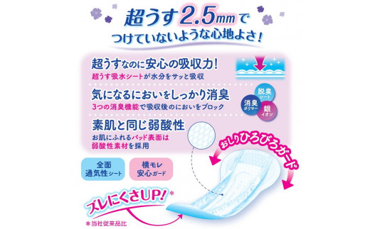 【4回定期便】リフレ 超うす安心パッド 230cc まとめ買いパック 24枚×3パック 《3ヶ月に1回》｜ 軽失禁パッド 尿漏れ パッド 尿もれ 尿とりパッド 尿ケア 女性用 吸水ナプキン 女性用軽失禁パッド 女性用尿漏れパッド
※着日指定不可