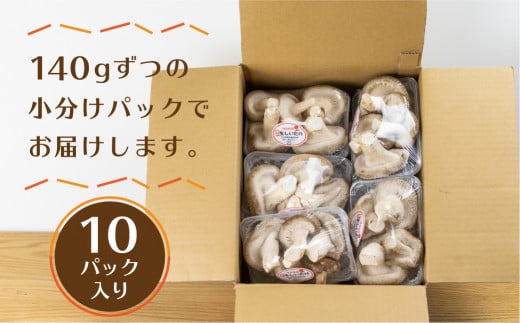 訳あり 菌床しいたけ 1.4kg 140g×10パック 訳アリ ワケアリ わけあり 椎茸 きのこ syun24