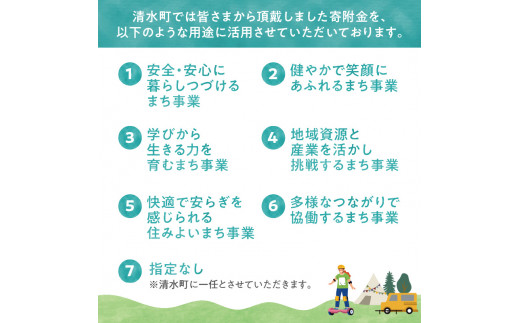 【返礼品なし】北海道清水町への寄附 応援 支援 寄付のみ 返礼品なし (1口：1,000円)_S038-0001