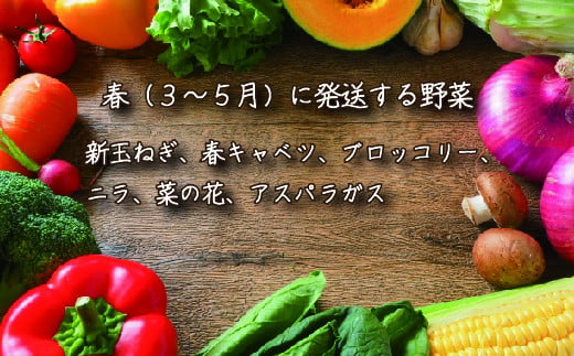 【定期便】季節の野菜 2022年春からの定期便【01051】