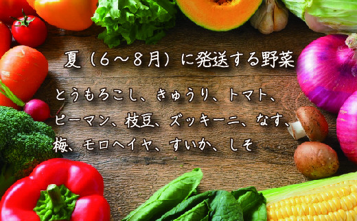 【定期便】季節の野菜 2022年春からの定期便【01051】