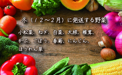 【定期便】季節の野菜 2022年春からの定期便【01051】