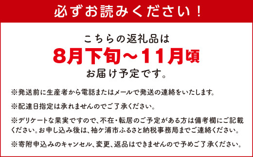 【8月下旬～11月発送分】グリーンファーム三基　袖ケ浦産いちじく　約850g