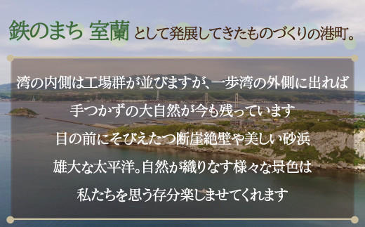 室蘭地球岬遊覧クルーズチケット 大人1名様 【 ふるさと納税 人気 おすすめ ランキング 北海道 室蘭 大人 1名 クルーズ チケット 観光 地球岬 プライベート イベント 休日 北海道 室蘭市 送料無料 】 MROX005