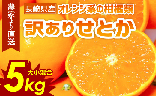 訳あり ご家庭用 長崎県産 せとか みかん 約5kg 2023年2月下旬より順次発送