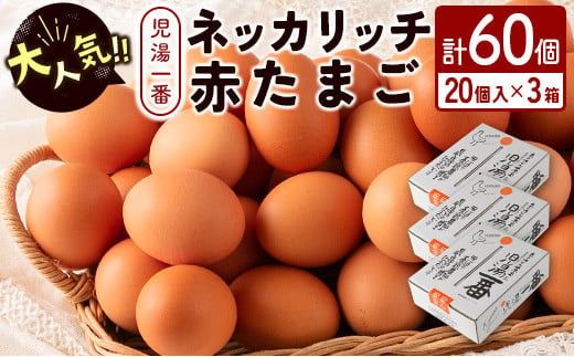 ＜児湯養鶏自慢の卵 ＞ネッカリッチ赤たまご「児湯一番」計60個（20個入×3箱）【B23】