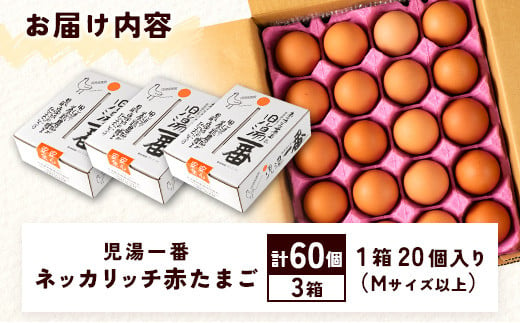 ＜児湯養鶏自慢の卵 ＞ネッカリッチ赤たまご「児湯一番」計60個（20個入×3箱）【B23】