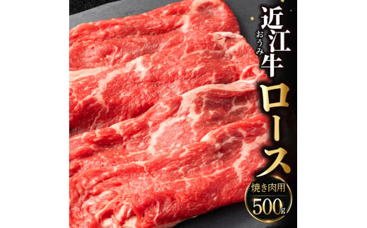 C-D22　近江牛ロース(焼き肉用)  500g 佐乃屋精肉店 牛 牛肉 国産 和牛 ブランド牛 赤身 すき焼き しゃぶしゃぶ 炒め物 煮物 ギフト 贈り物 高級 人気 近江 東近江市 滋賀県