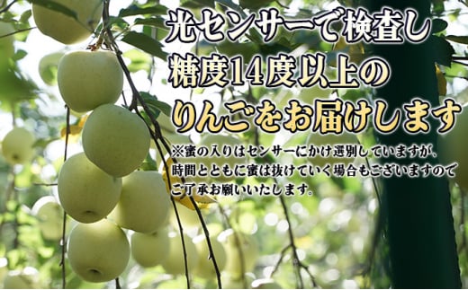 11～12月 贈答規格 蜜入りぐんま名月 約5kg（18～20玉）14度糖度保証【青森りんご・ゆうきアップル・11月・12月】