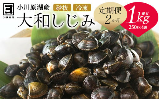 【 2ヵ月定期便 】砂抜き済みで手間いらず！冷凍・小川原湖産大和しじみ1kg（250g×4袋）　【02408-0088】