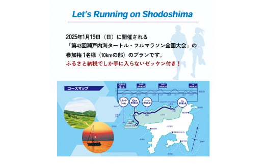 第43回瀬戸内海タートル・フルマラソン全国大会参加権 1名様（10kmの部） マラソン 瀬戸内 小豆島 10km  参加権 タートルマラソン 土庄