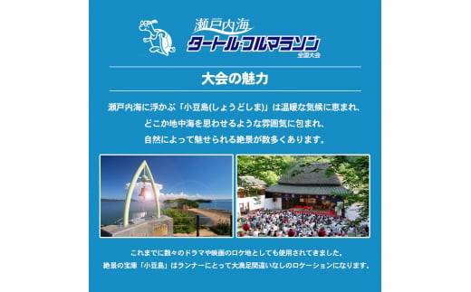 第43回瀬戸内海タートル・フルマラソン全国大会参加権 1名様（10kmの部） マラソン 瀬戸内 小豆島 10km  参加権 タートルマラソン 土庄