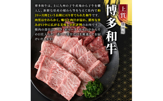 博多和牛焼肉用(500g)牛肉 黒毛和牛 国産 BBQ 化粧箱 贈答 ギフト プレゼント＜離島配送不可＞【ksg0287】【MEATPLUS】