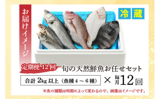 【定期便】 【全12回(毎月発送)】 【下処理済】 旬の天然鮮魚 2kg おまかせ セット 【加福鮮魚】 「若狭小浜港産地直送」！　