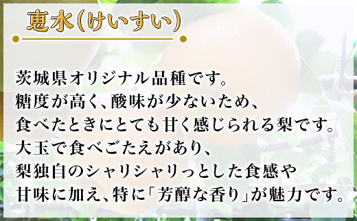 【第１回全国梨選手権 最高金賞受賞‼】茨城県産「恵水」梨2.5kg【2024年8月下旬～9月中旬にかけて発送予定】【梨 恵水 なし フルーツ 果物 秋の味覚 デザート 茨城県産 甘い 選手権 最高金賞】