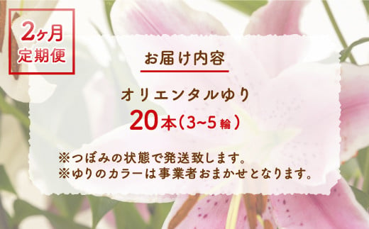 【2カ月定期便】福原さん家のオリエンタルゆりの花束 20本（3～5輪） 【ふるさと納税 人気 おすすめ ランキング 花 ゆり 花束 プレゼント 記念日 ギフト 定期便 北海道 豊浦町 送料無料】 TYUAB006