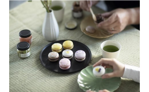 宝塚すみれ最中セット【粒餡＋ココア餡＋柚子味噌餡】