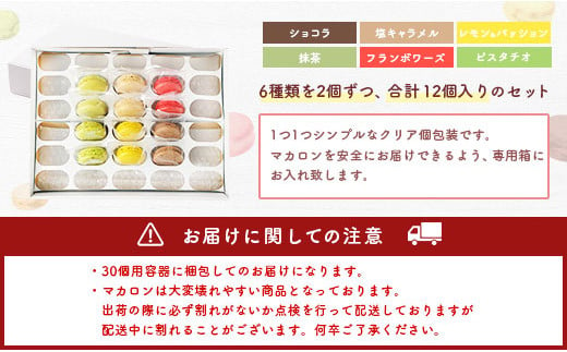 一流パティシエが認めるホテル使用品 お試し マカロン セット 12個（6種類×2個）