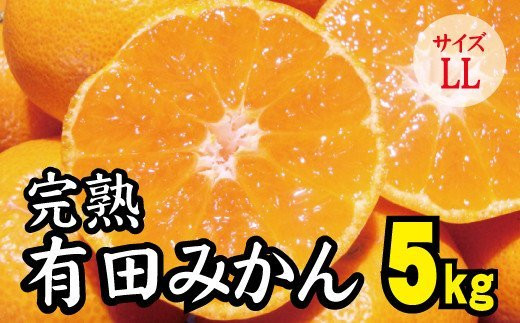 【2022年秋以降発送予約分】＼光センサー選別／ 【農家直送】完熟有田みかん LLサイズ　約5kg  有機質肥料100%　※2022年11月上旬より順次発送予定（お届け日指定不可）【nuk115-5】