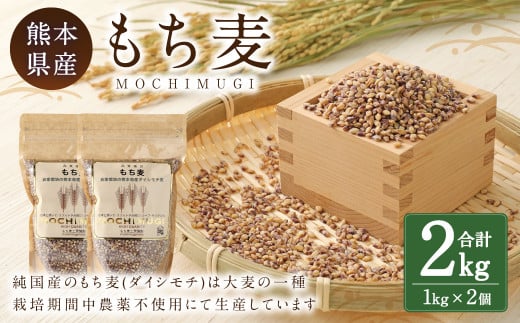 もち麦 計2kg（1kg×2） 水俣市 もち麦工房