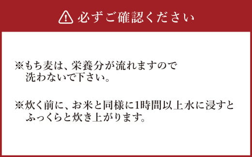 もち麦 計2kg（1kg×2） 水俣市 もち麦工房