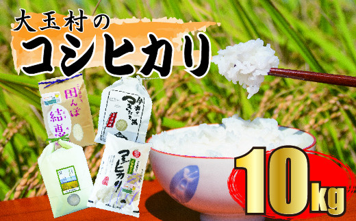 米 10kg コシヒカリ ｜ 福島県 大玉村 米作り 精米 安達太良山 ｜ 