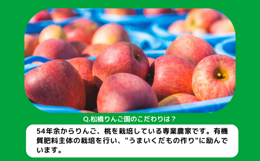 りんご サンふじ 家庭用 ( 小玉 ) 5kg 松橋りんご園 沖縄県への配送不可 2025年1月上旬頃から2025年3月上旬頃まで順次発送予定 令和6年度収穫分 フルーツ リンゴ 信州 長野県 飯綱町 [0629]