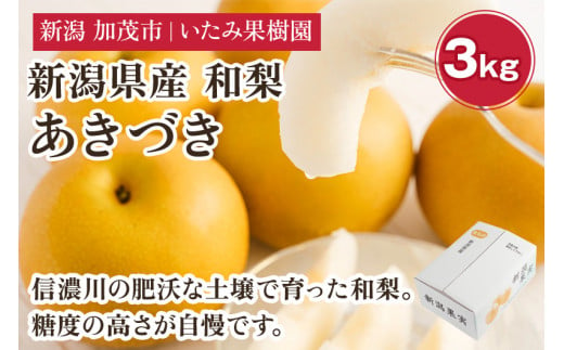 【2025年先行予約】新潟県産 厳選 あきづき梨 3kg（5～7玉）《9月上旬以降発送》果物 フルーツ 加茂市 いたみ果樹園