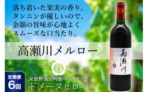 【6回 定期便 】【落ち着いた果実の香り】 赤 ワイン 高瀬川メルロー 750ml×1本 [ヴィニョブル安曇野 DOMAINE HIROKI 長野県 池田町 48110596] 赤ワイン お酒 酒