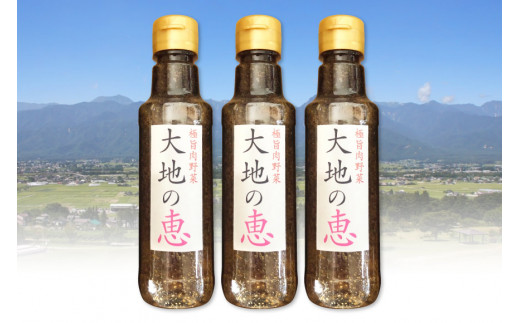 にんにくドレッシング 「大地の恵」 甘口 200ml×3本 [矢口農園 長野県 池田町 48110485] 