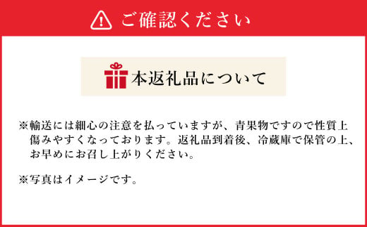 【2022年2月下旬より順次発送】大粒 あまおういちご G(グランデ) 約280g×6パック