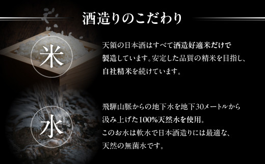 【年内順次発送】 飛騨の梅酒（日本酒仕込み）500ml×1 梅酒 うめ酒 ウメ酒 お酒 酒 天領酒造 天領 下呂市 飛騨 純米酒 年内配送 年内発送 年内に届く