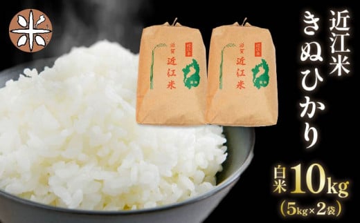 令和6年産 新米 白米 10㎏ キヌヒカリ 5kg × 2袋 精米 近江米 きぬひかり 国産 お米 米 おこめ ごはん ご飯 白飯 しろめし こめ ゴハン 御飯 滋賀県産 竜王 ふるさと ランキング 人気 おすすめ