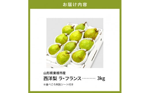 【令和6年産 先行予約】西洋梨ラフランス3kg　秀品　化粧箱入り 山形県 東根市 東根農産センター提供 hi027-142