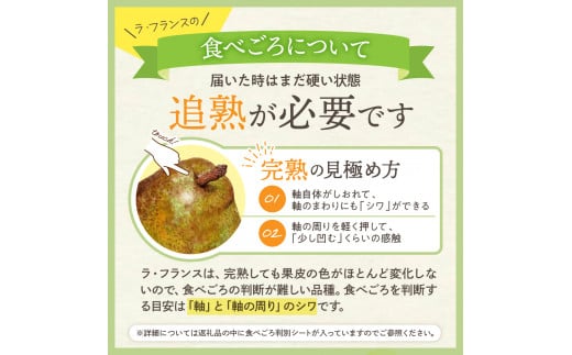 【令和6年産 先行予約】西洋梨ラフランス3kg　秀品　化粧箱入り 山形県 東根市 東根農産センター提供 hi027-142