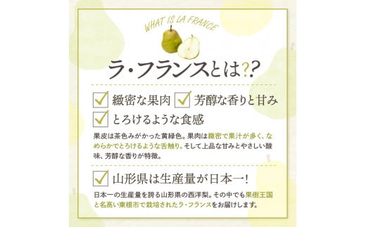 【令和6年産 先行予約】西洋梨ラフランス3kg　秀品　化粧箱入り 山形県 東根市 東根農産センター提供 hi027-142