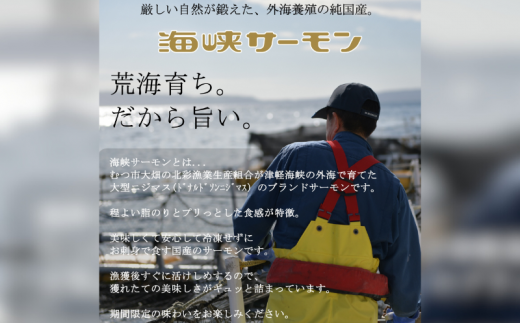 海峡サーモン水煮3缶セット