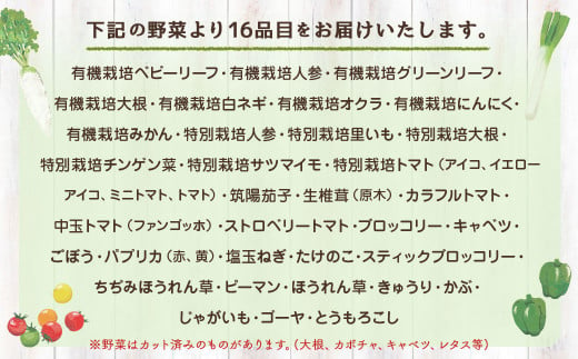 【定期便12回】季節の野菜 16品目 セット 野菜 詰め合わせ おまかせ